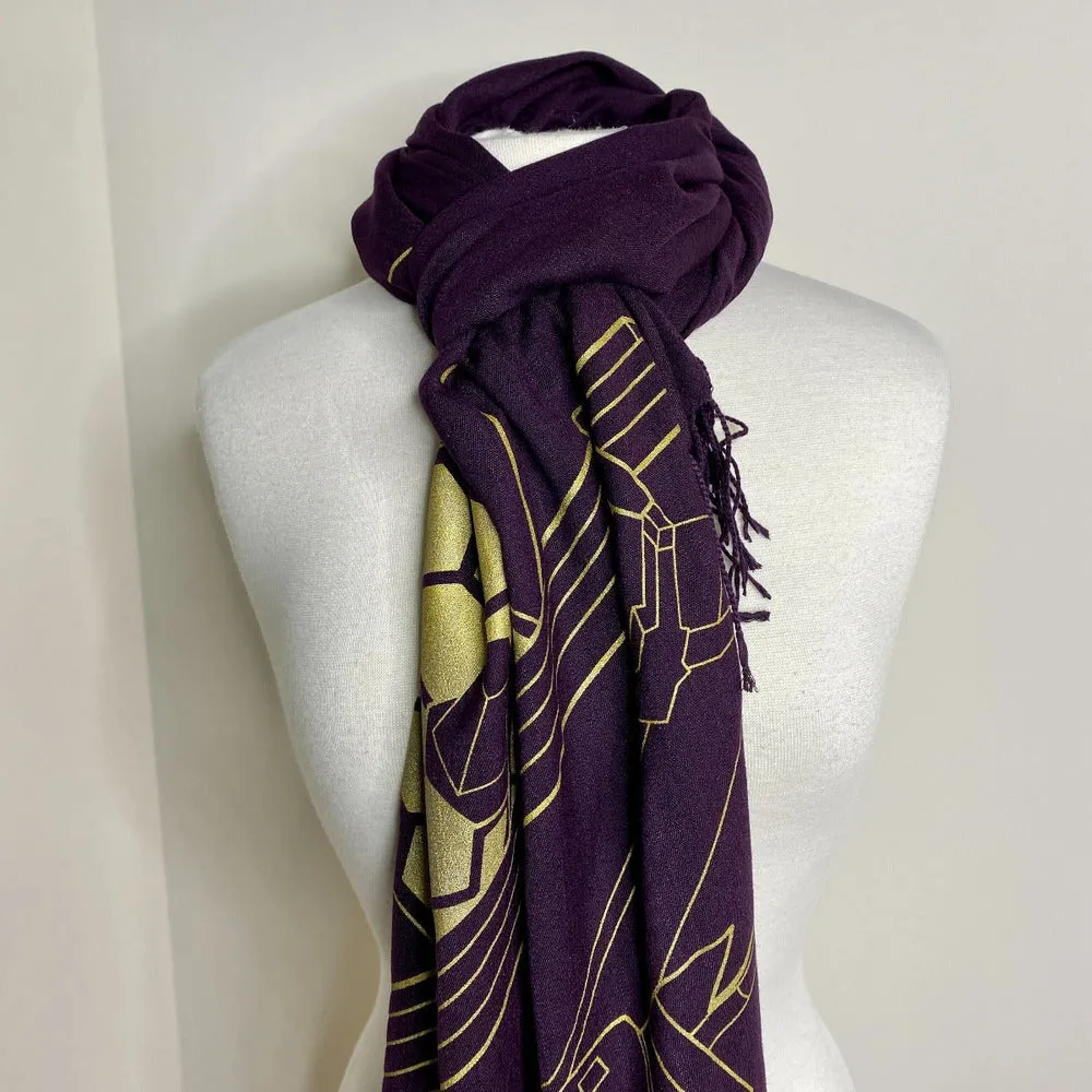 JWST Spacecraft Scarf